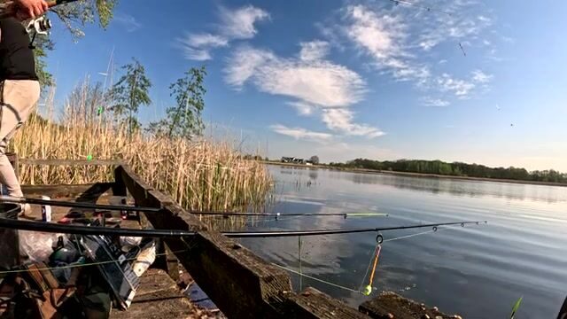 Крупный карась в подсаке на натуральную наживку, Польша