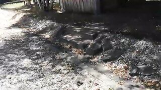 Прогулка по рыбоводным прудам с наблюдением за рыбаками в Польше
