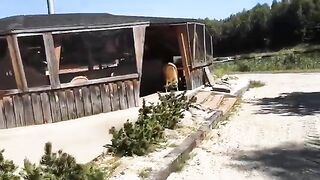 Прогулка по рыбоводным прудам с наблюдением за рыбаками в Польше