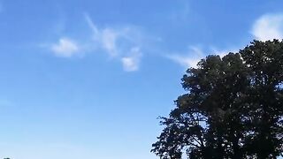 Прогулка по рыбоводным прудам с наблюдением за рыбаками в Польше