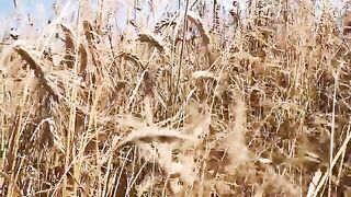 Прогулка по рыбоводным прудам с наблюдением за рыбаками в Польше
