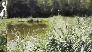 Прогулка по рыбоводным прудам с наблюдением за рыбаками в Польше