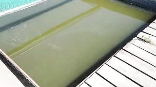 Прогулка по рыбоводным прудам с наблюдением за рыбаками в Польше
