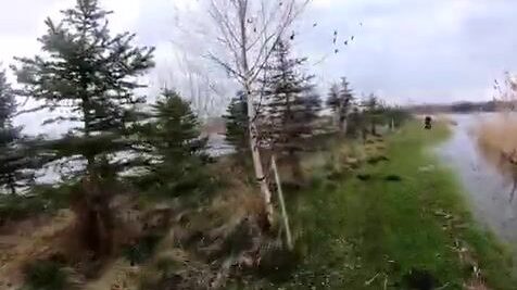 Подготовка к береговой ловле щуки в Польше при плюс шести градусах