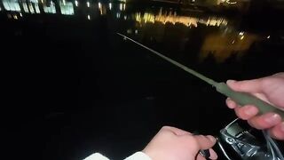 Финальный судак 46 сантиметров на мягкие приманки с Мотлавы в Гданьске
