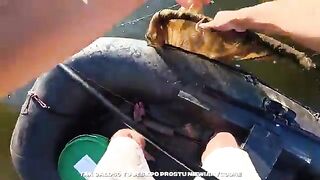 Карп 18 кг с понтона на Вильге Водной Краине в Польше