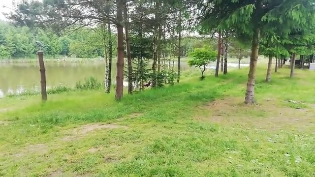 Смена места и зацеп на озере в Еленя-Гуре