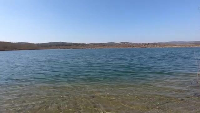 Первая щука после смены прудов в Польше