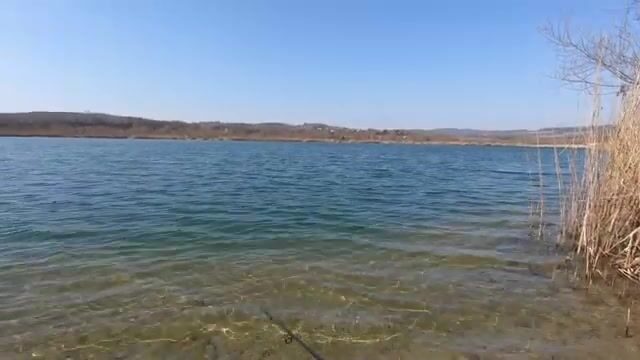 Первая щука после смены прудов в Польше