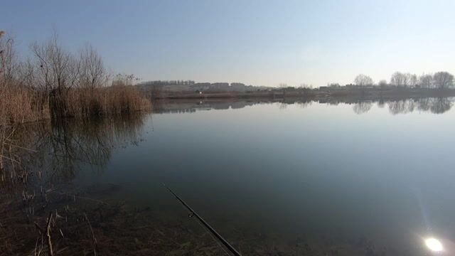 Первая щука после смены прудов в Польше