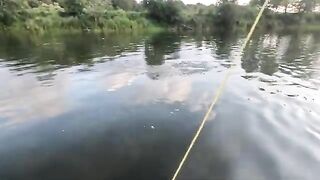Мокрая мушка на форель и хариуса с Red Tag и Spider на реке Сан в Польше