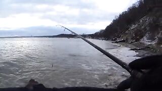 Первая кумжа на пилькер среди снега в Гдыне Орлово в Польше