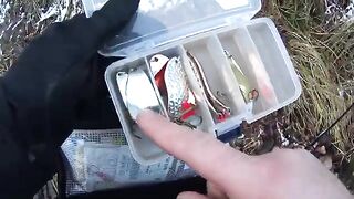 Первая кумжа на пилькер среди снега в Гдыне Орлово в Польше