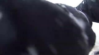 Первая кумжа на пилькер среди снега в Гдыне Орлово в Польше