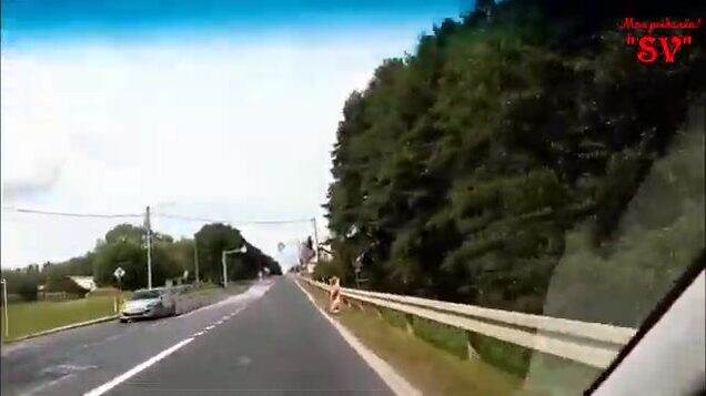Карп на платном озере в Писажовице в Польше после возвращения за подсаком