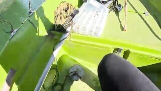 Голавль и щуки на воблер при ловле с лодки на Изворул-Мунтелуй