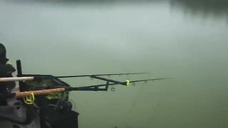Фидерный поединок с опарышем на пруду Carp Lake в Тимише