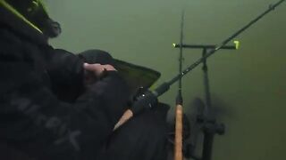 Фидерный поединок с опарышем на пруду Carp Lake в Тимише
