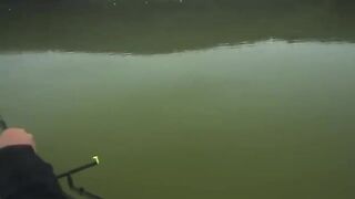 Фидерный поединок с опарышем на пруду Carp Lake в Тимише