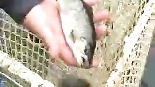 Подбор нахлыстовой мушки на прозрачной Унице в Словении с форелью и хариусом