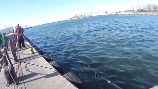 Ловля селёдки на ёлочку в Новом Порту Гданьска при холодном ветре