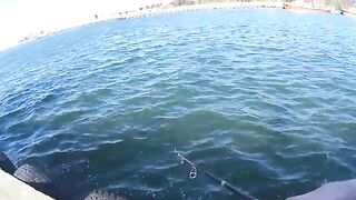 Ловля селёдки на ёлочку в Новом Порту Гданьска при холодном ветре