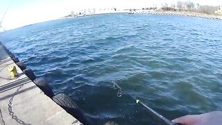 Ловля селёдки на ёлочку в Новом Порту Гданьска при холодном ветре