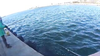 Ловля селёдки на ёлочку в Новом Порту Гданьска при холодном ветре