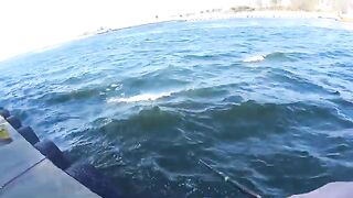 Ловля селёдки на ёлочку в Новом Порту Гданьска при холодном ветре