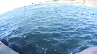 Ловля селёдки на ёлочку в Новом Порту Гданьска при холодном ветре
