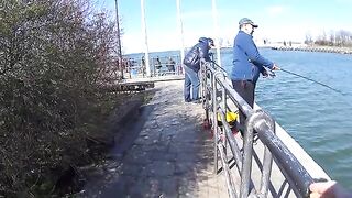 Ловля селёдки на ёлочку в Новом Порту Гданьска при холодном ветре