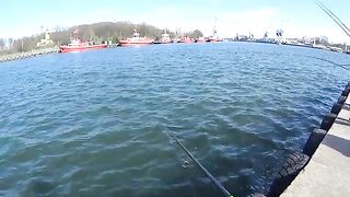 Ловля селёдки на ёлочку в Новом Порту Гданьска при холодном ветре