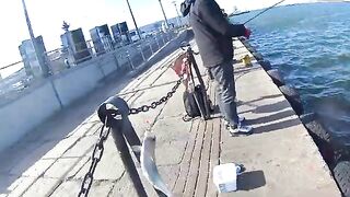 Ловля селёдки на ёлочку в Новом Порту Гданьска при холодном ветре