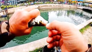 Уличная рыбалка на хлеб у моста Грозэвешть на реке Дымбовица