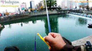 Уличная рыбалка на хлеб у моста Грозэвешть на реке Дымбовица