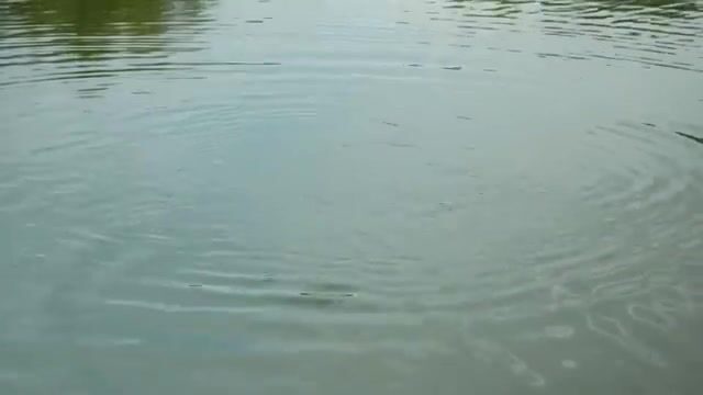 Финальный день соревнований на озере Валкрофт в Румынии