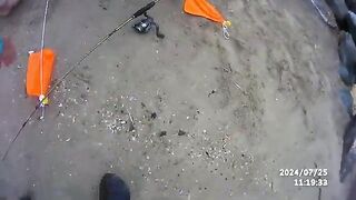 Кефаль после мелких бычков на лиманского червя в Констанце