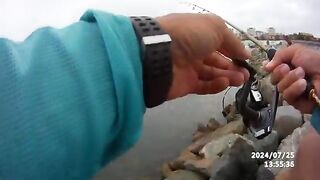 Кефаль после мелких бычков на лиманского червя в Констанце