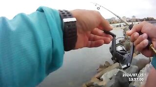 Кефаль после мелких бычков на лиманского червя в Констанце