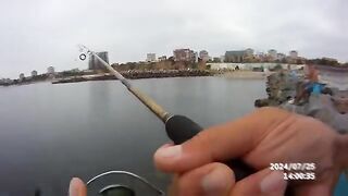 Кефаль после мелких бычков на лиманского червя в Констанце