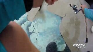 Кефаль после мелких бычков на лиманского червя в Констанце