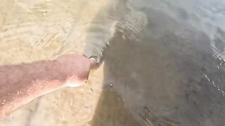 Тарарира и ночные сомы в департаменте Дурасно в Уругвае
