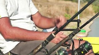 Толстолобик на кормушку с одним крючком на реке Муреш в уезде Арад Румынии