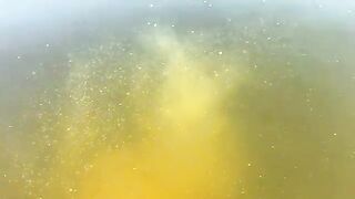 Толстолобик на кормушку с одним крючком на реке Муреш в уезде Арад Румынии