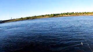 Крупный дорадо на водохранилище Пальмар в Уругвае