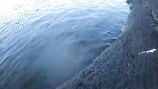 Крупный дорадо на водохранилище Пальмар в Уругвае