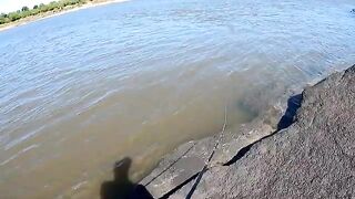 Крупный дорадо на водохранилище Пальмар в Уругвае