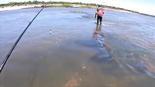 Крупный дорадо на водохранилище Пальмар в Уругвае