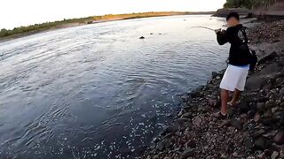 Крупный дорадо на водохранилище Пальмар в Уругвае