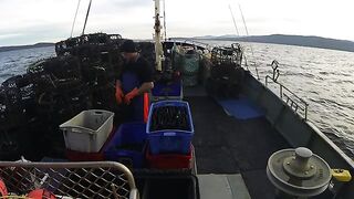 Промысел красного лангуста у юго-западной Тасмании